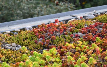 the cost of Colwich green roof installation